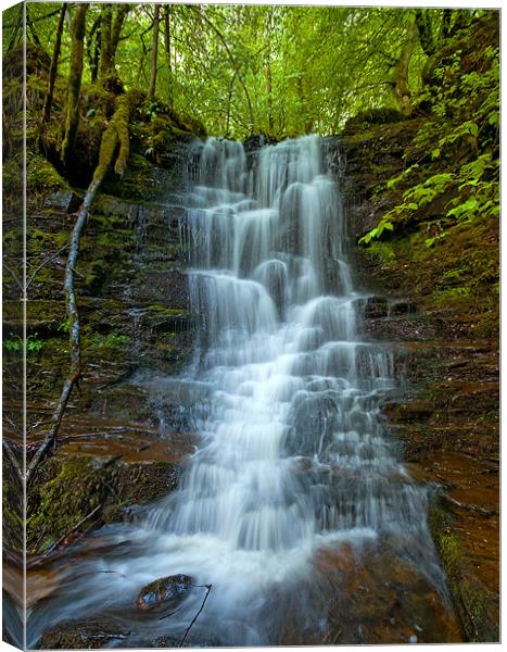 Little Falls Canvas Print by Mark Robson