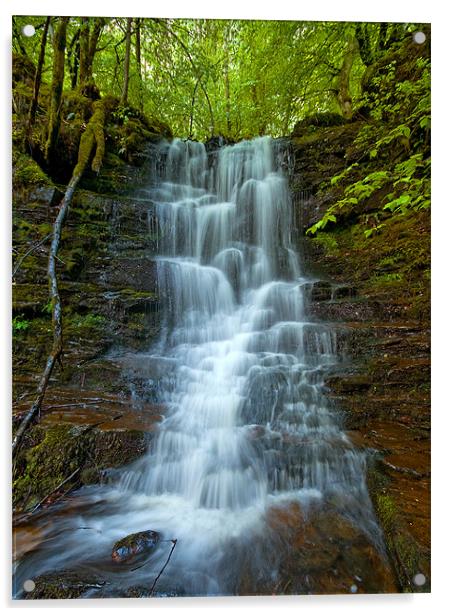 Little Falls Acrylic by Mark Robson