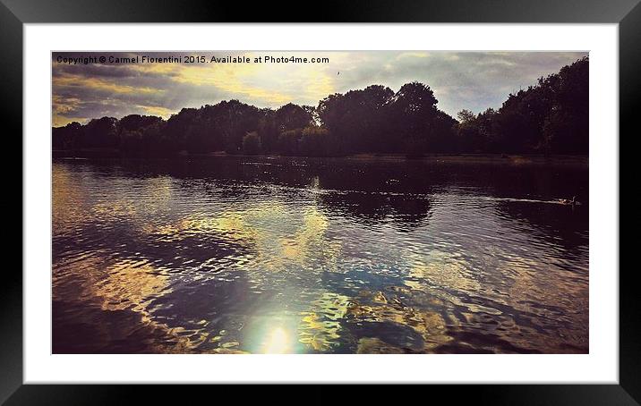  Sunset over the lake Framed Mounted Print by Carmel Fiorentini