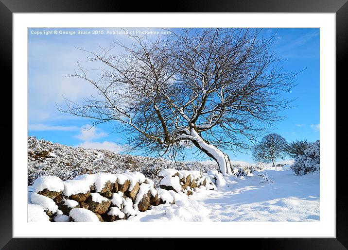  winter tree Framed Mounted Print by George Bruce