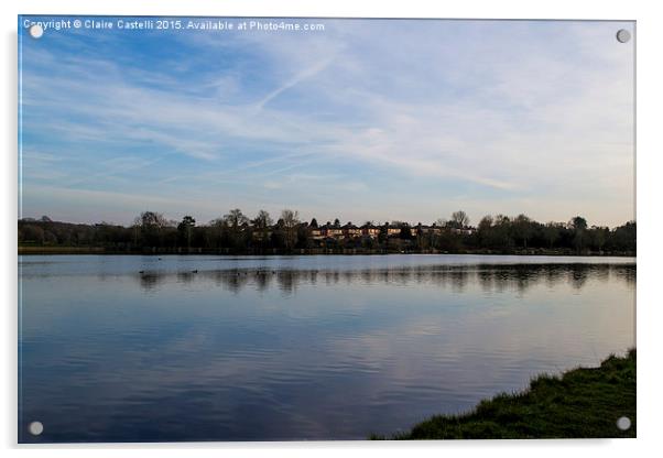  Earlswood Lakes Acrylic by Claire Castelli