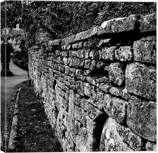 Another brick in the wall Canvas Print by Claire Castelli
