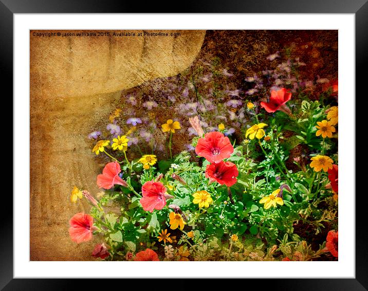  Summer Mix Framed Mounted Print by Jason Williams