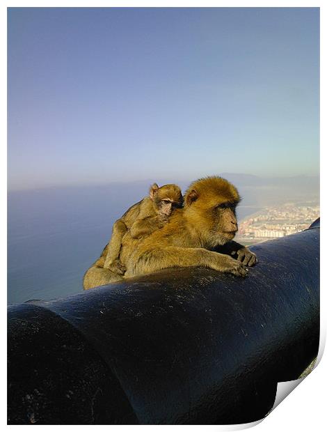 The Cannon on the Rock of Gibraltar - with macaque Print by gill watson