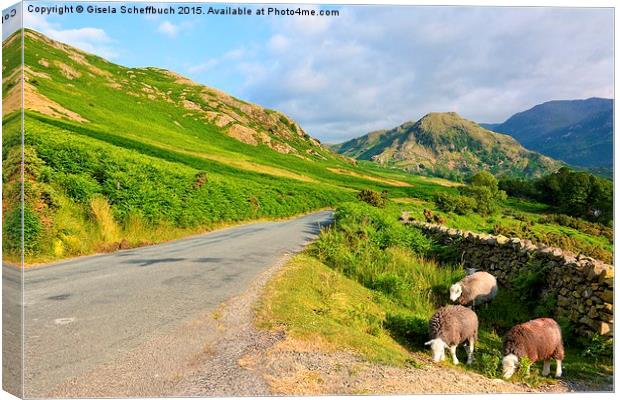  A Summer Evening in the Lake District Canvas Print by Gisela Scheffbuch