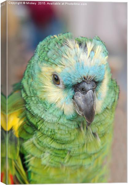 Young Amazon Parrot Canvas Print by rawshutterbug 