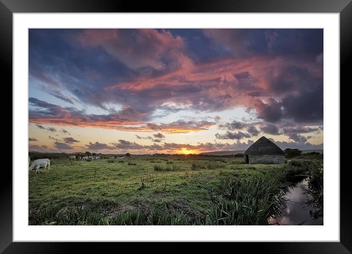  Braunton Marsh, North Devon Framed Mounted Print by Dave Wilkinson North Devon Ph