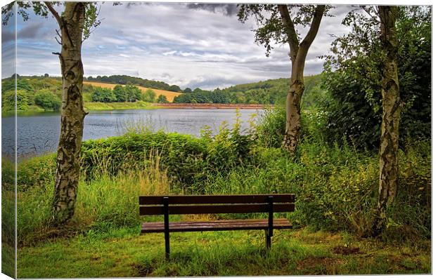 Ulley Bench with a View  Canvas Print by Darren Galpin