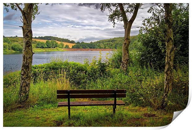 Ulley Bench with a View  Print by Darren Galpin