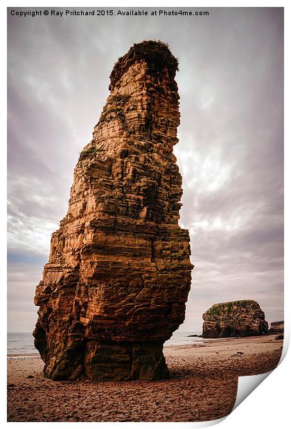  Lots Wife and Marsden Rock Print by Ray Pritchard