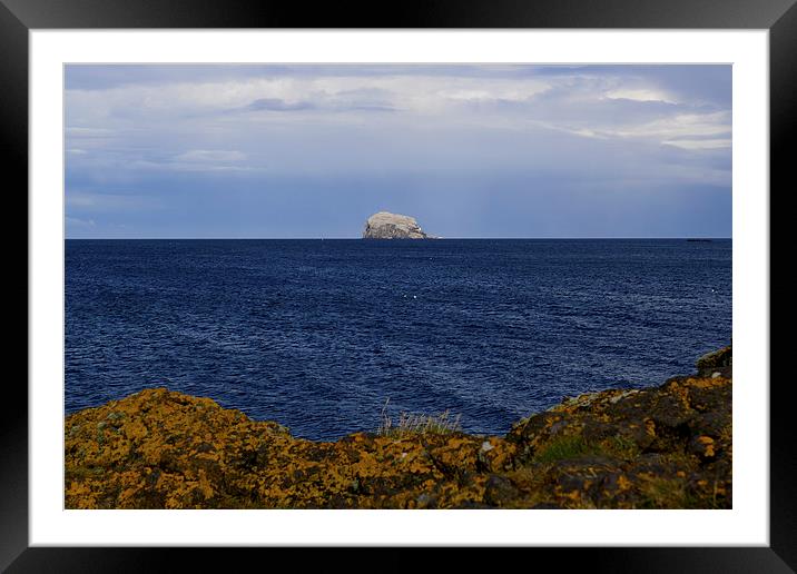  Bass Rock from North Berwick, East Lothian Framed Mounted Print by Ann McGrath