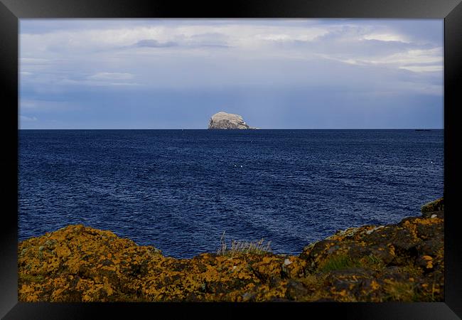  Bass Rock from North Berwick, East Lothian Framed Print by Ann McGrath