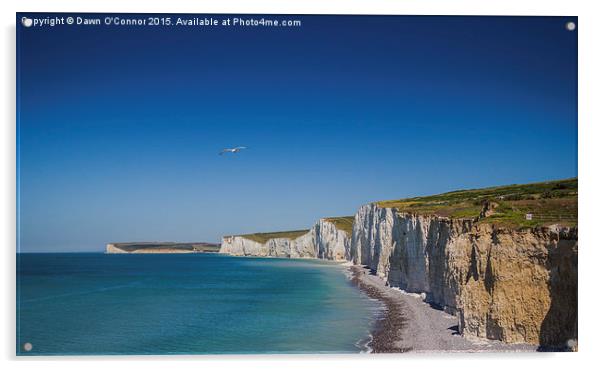  Seven Sisters Cliffs nr Beachy Head Acrylic by Dawn O'Connor