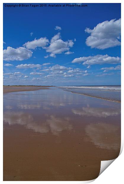  Reflections in the sand Print by Brian Fagan