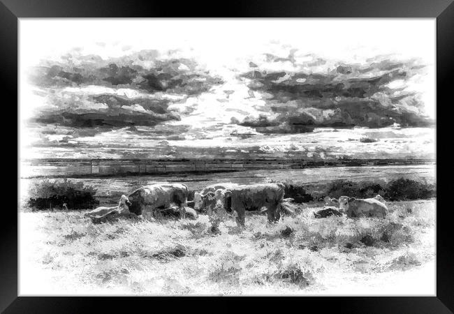 Resting Cows Art Framed Print by David Pyatt