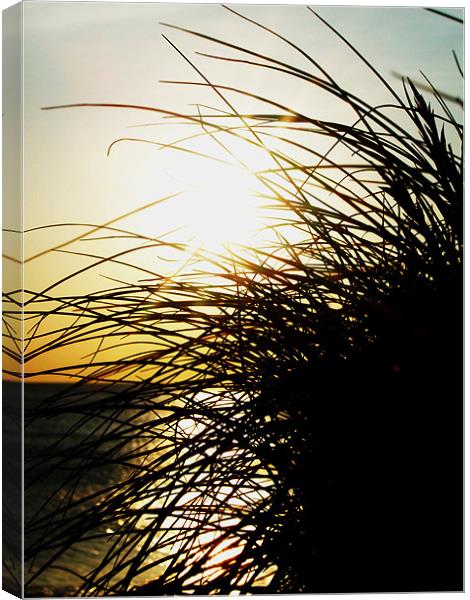 Dunes Canvas Print by Tom Martin