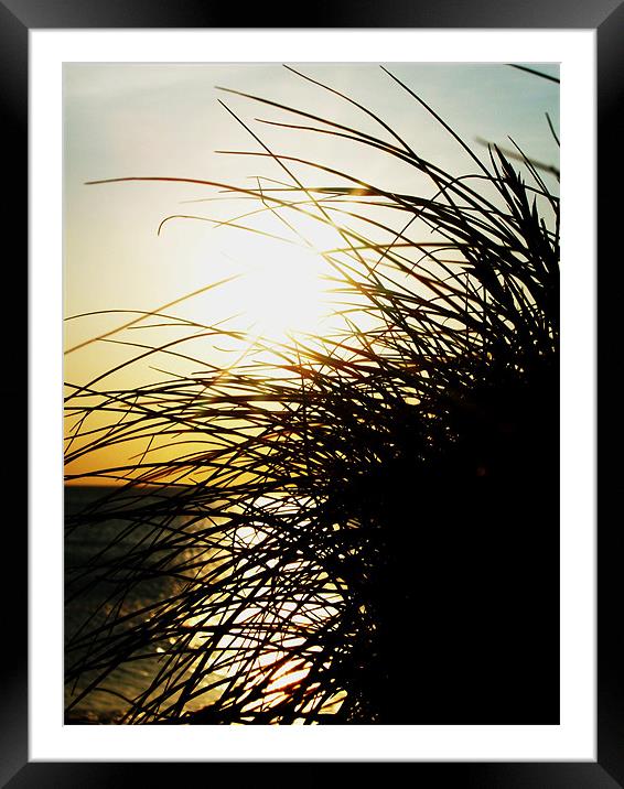 Dunes Framed Mounted Print by Tom Martin