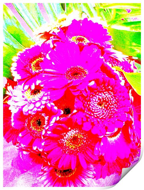 Purple Flower Print by Tom Martin