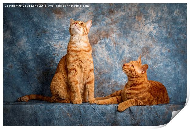 A Pair of Cats Print by Doug Long