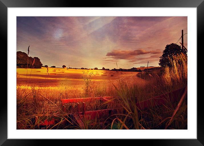 Summer Evening Light Framed Mounted Print by Dawn Cox