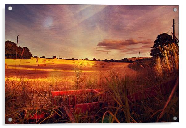 Summer Evening Light Acrylic by Dawn Cox