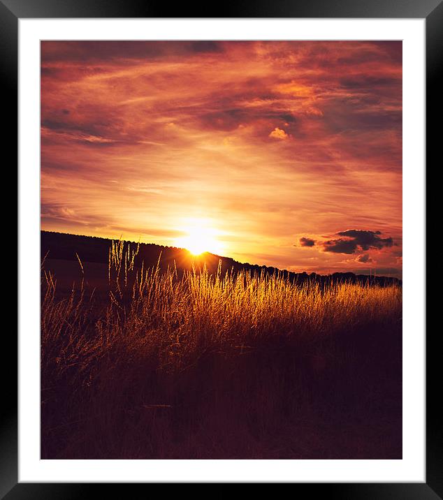  Sunset over the fields Framed Mounted Print by Dawn Cox
