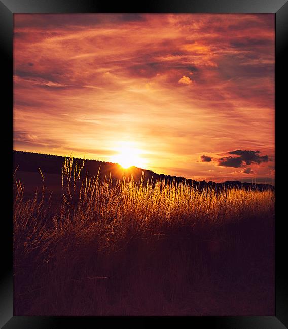  Sunset over the fields Framed Print by Dawn Cox
