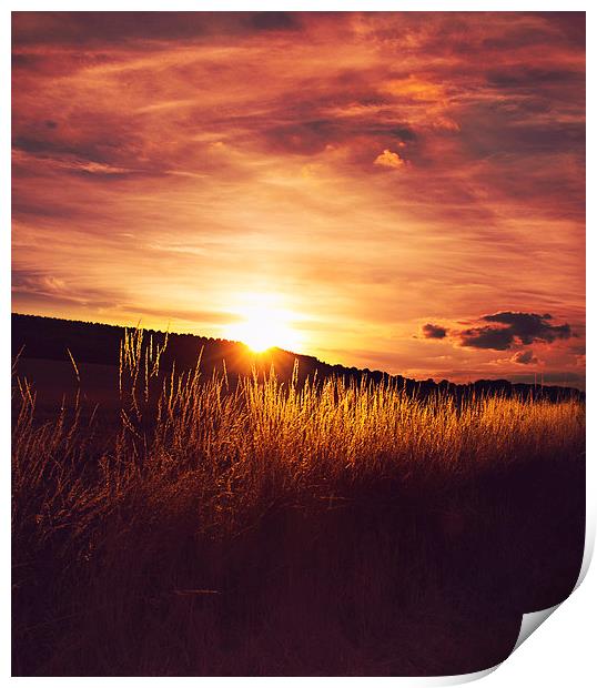  Sunset over the fields Print by Dawn Cox