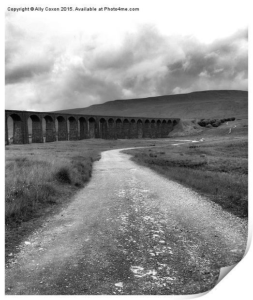  Viaduct Print by Ally Coxon