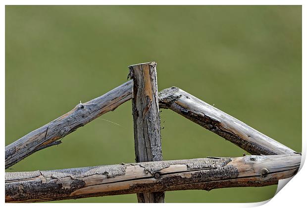 Wooden cross in a sheepfold fence Print by Adrian Bud