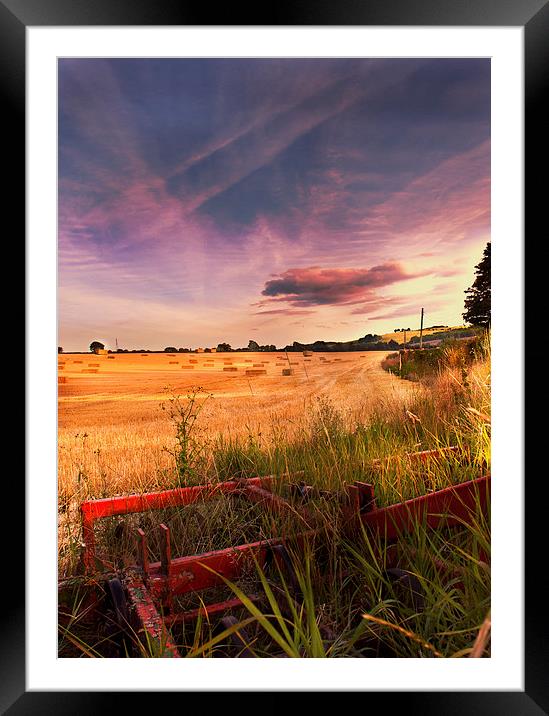 Harvest time  Framed Mounted Print by Dawn Cox