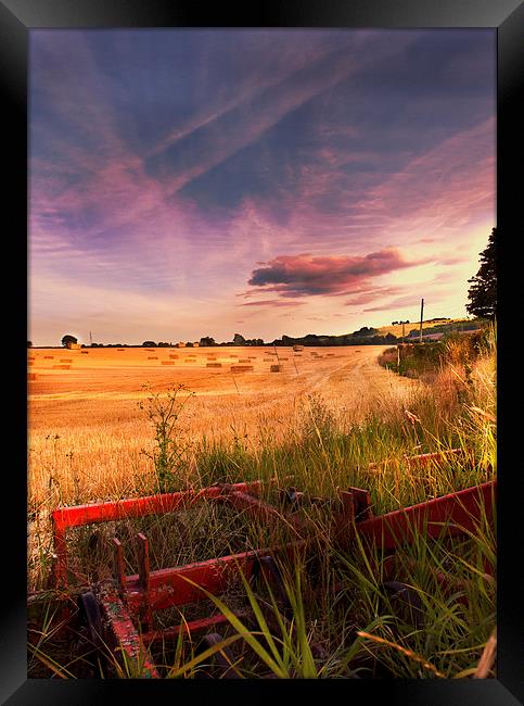Harvest time  Framed Print by Dawn Cox
