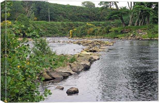  River Brora  Canvas Print by Tony Murtagh