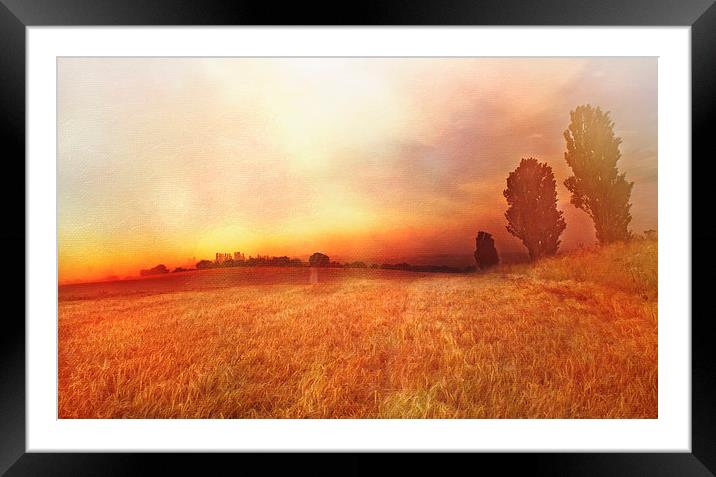 Golden Fields Darenth  Framed Mounted Print by Dawn Cox