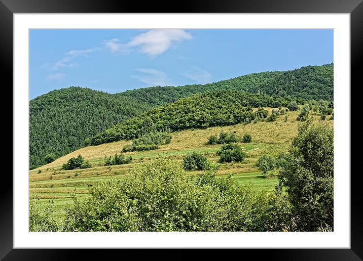 Gardening field near Orlat Sibiu county Romania Framed Mounted Print by Adrian Bud
