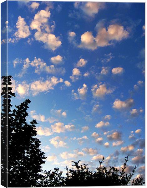 Summer evening clouds Canvas Print by Chris Day