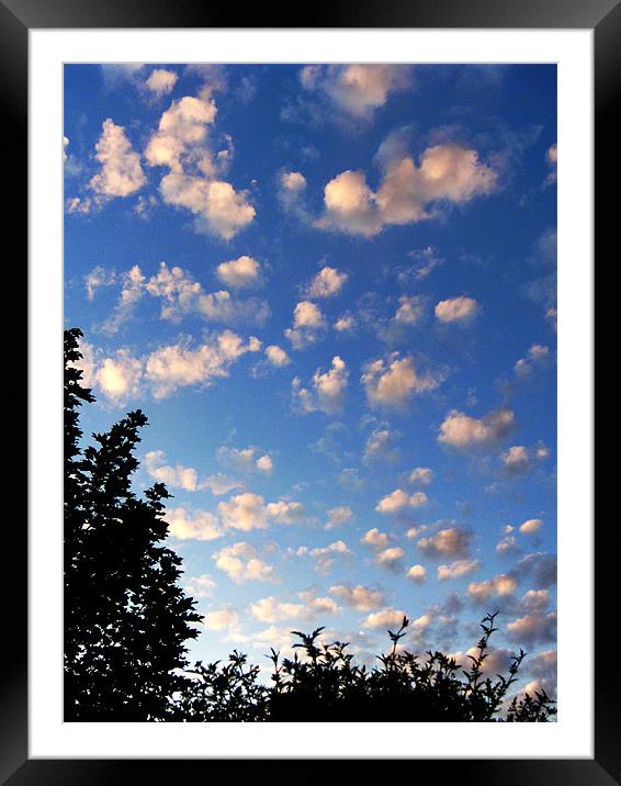Summer evening clouds Framed Mounted Print by Chris Day