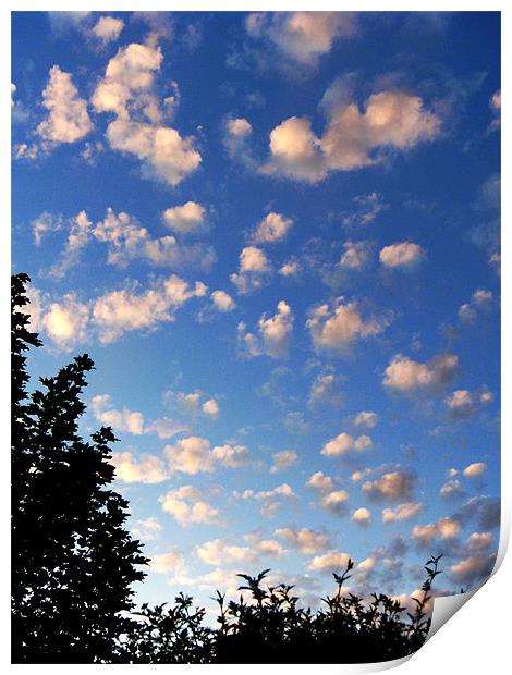 Summer evening clouds Print by Chris Day