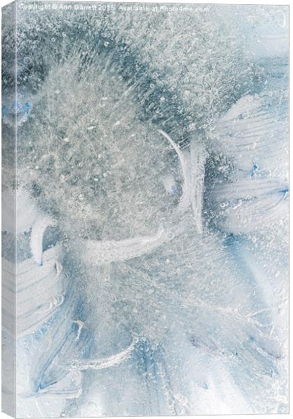 Frozen Daisy Canvas Print by Ann Garrett