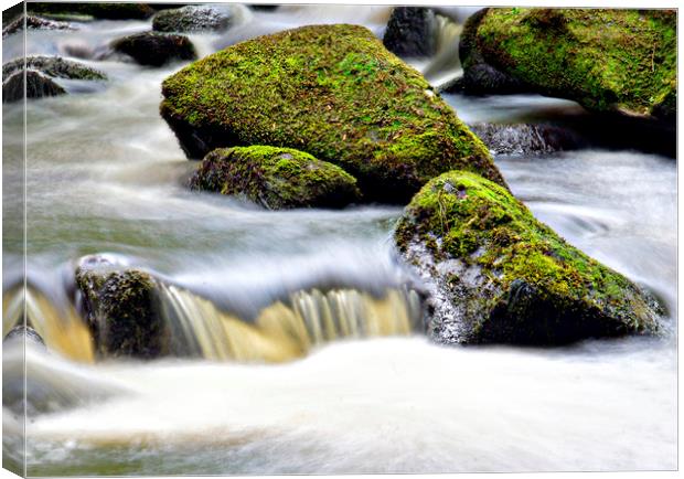  The river Hebden, Hardcastle Crags Canvas Print by Karl Butler