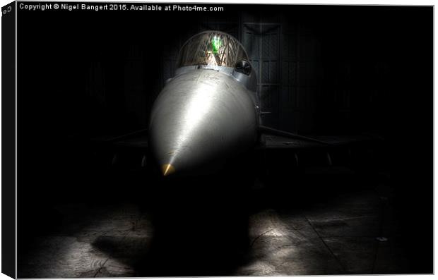  Eurofighter Typhoon Canvas Print by Nigel Bangert