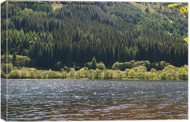 Loch Lubnaig , Scotland Canvas Print by Photogold Prints