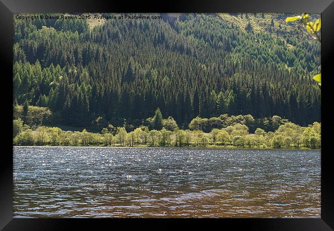  Loch Lubnaig , Scotland Framed Print by Photogold Prints