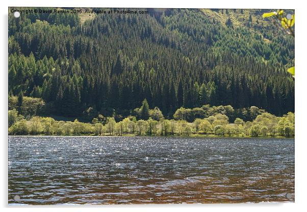  Loch Lubnaig , Scotland Acrylic by Photogold Prints