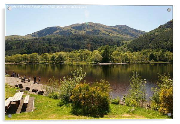    Loch Lubnaig  in the summertime ,  Scotland Acrylic by Photogold Prints