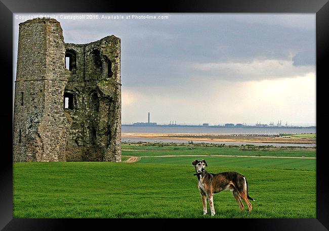  A Kings Dog & He's Castle Framed Print by Marie Castagnoli