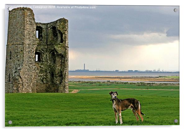  A Kings Dog & He's Castle Acrylic by Marie Castagnoli