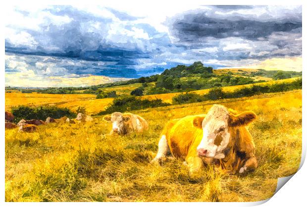 Resting Cows Art Print by David Pyatt