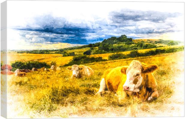 Resting Cows Art Canvas Print by David Pyatt