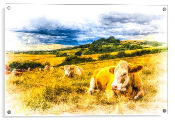 Resting Cows Art Acrylic by David Pyatt